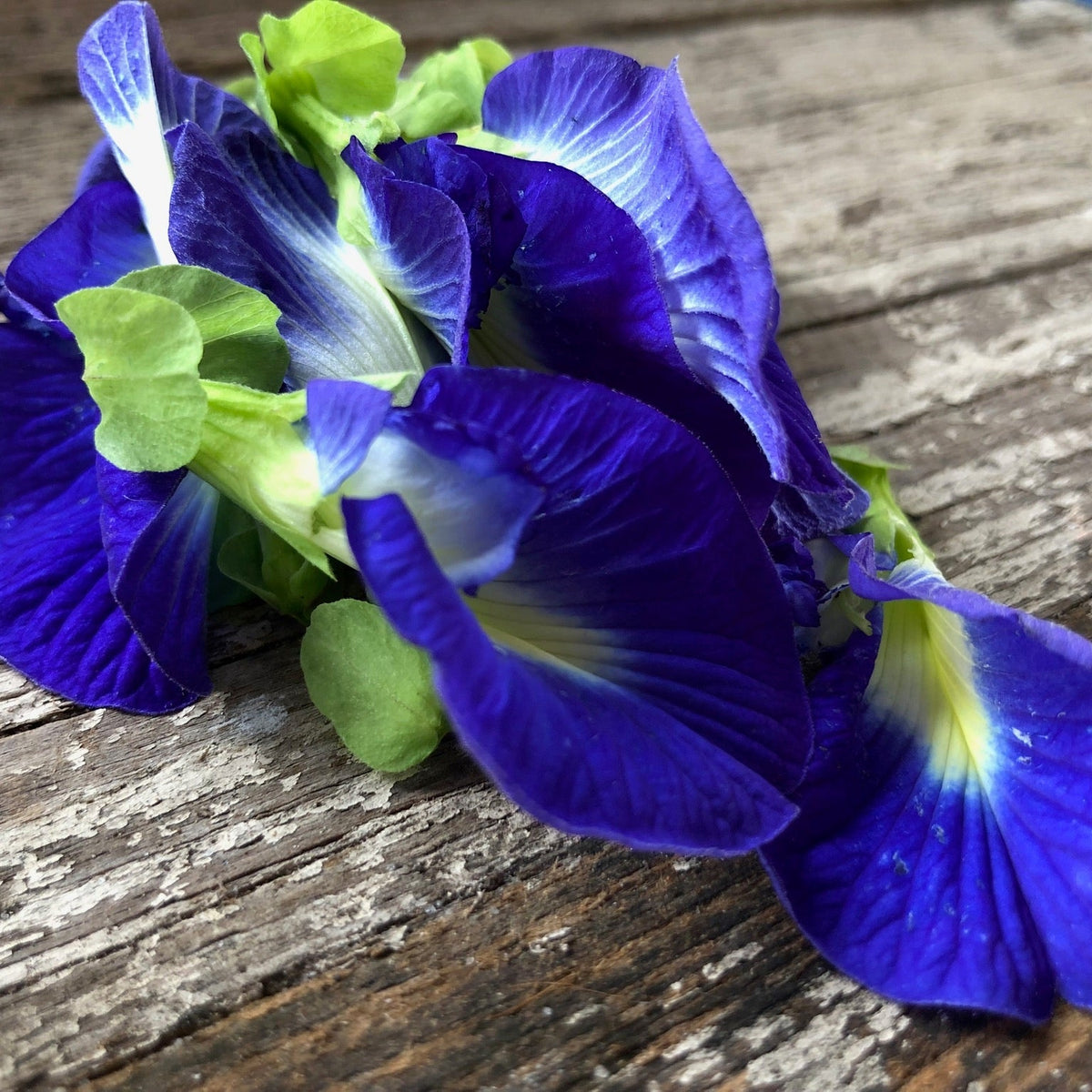 Natural Pigments