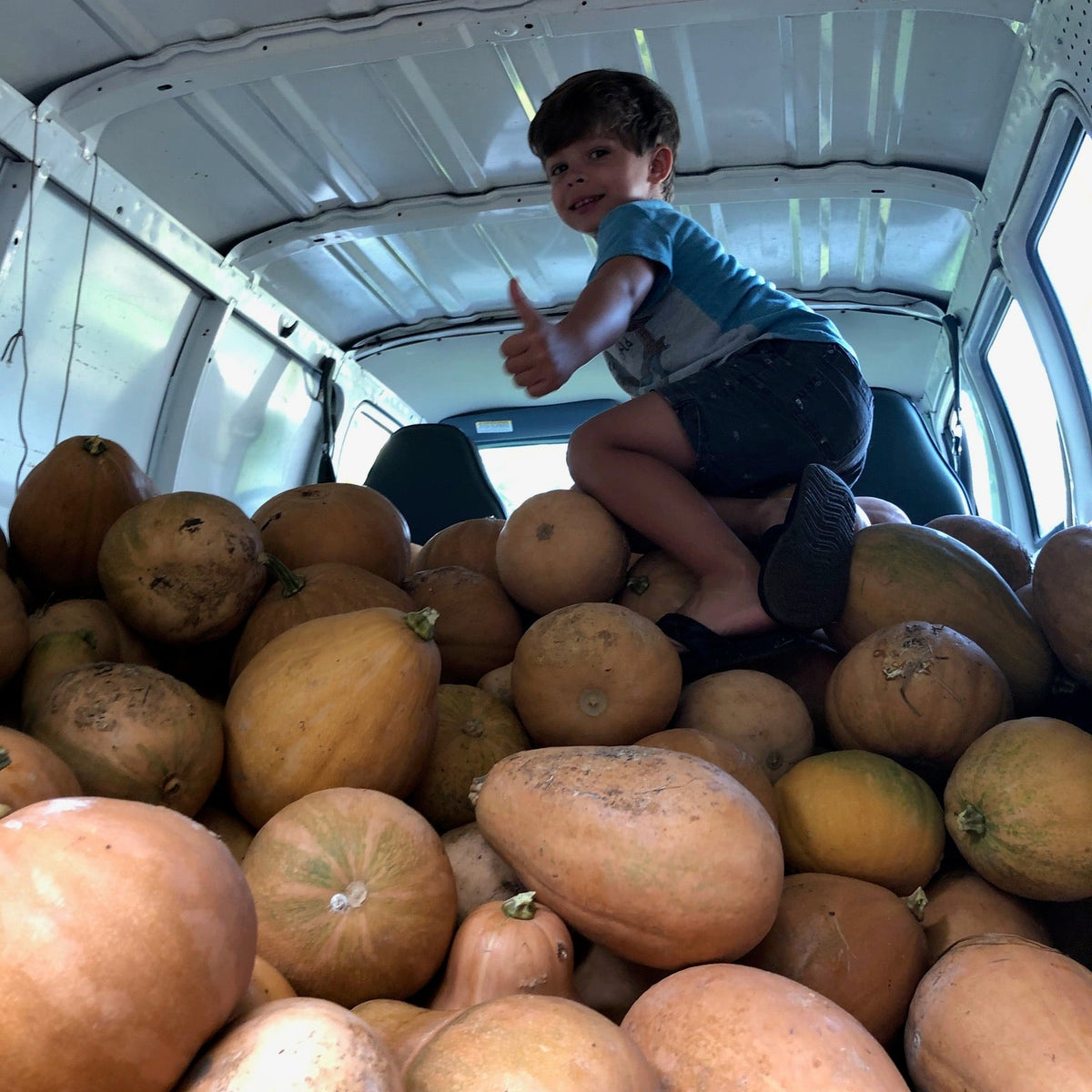 Bellevue Butternut Winter Squash