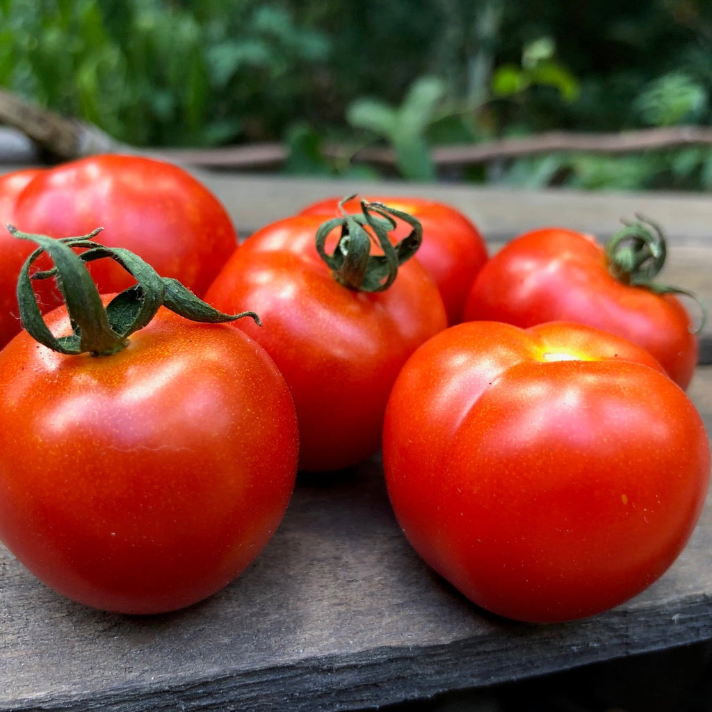 Bellevue Cherry  Tomato