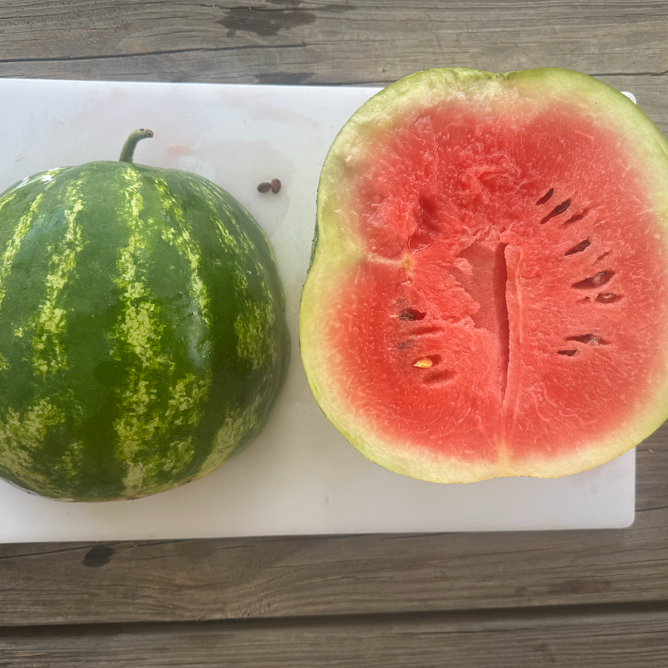 Crimson Sweet Watermelon