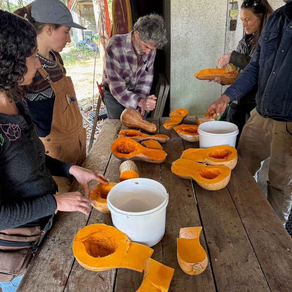 Cuban Calabaza