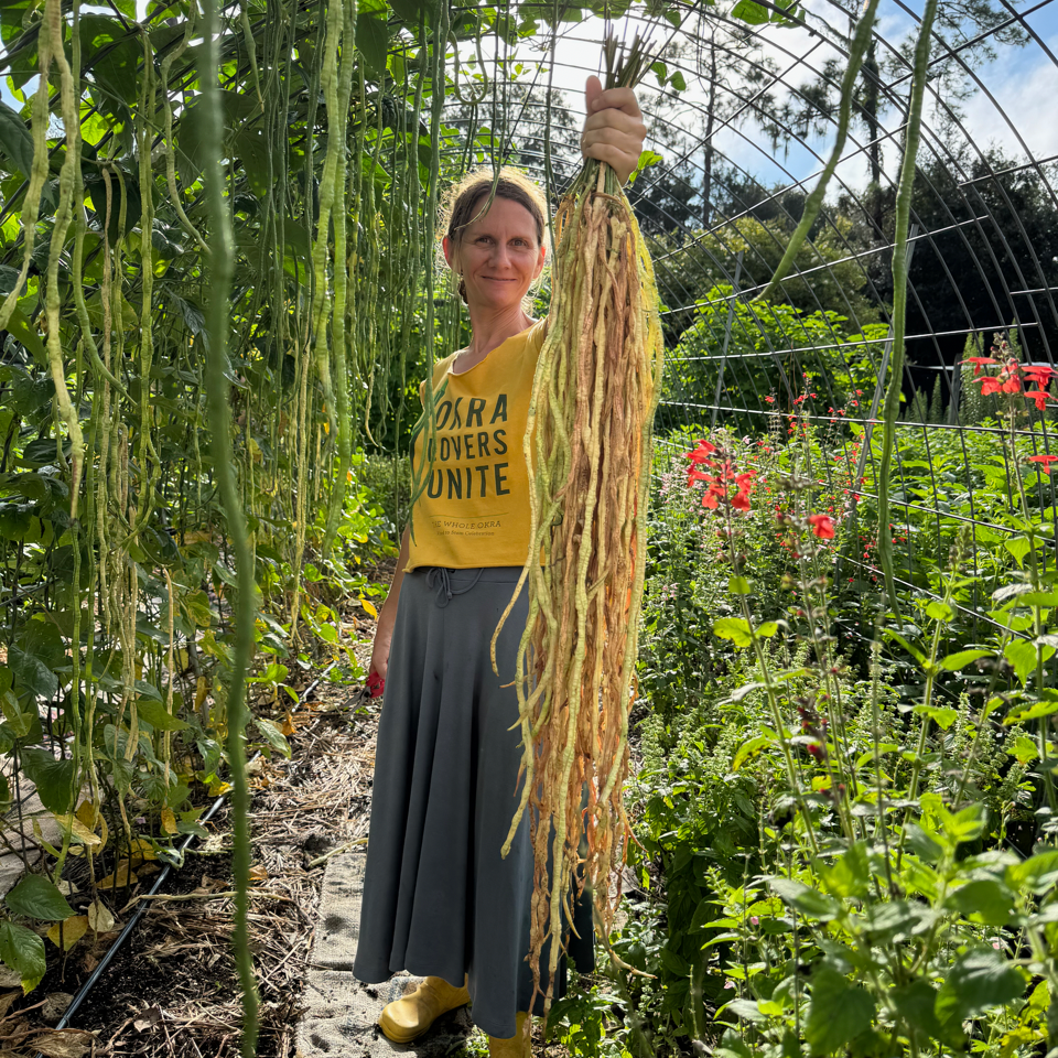 Extra Long Yardlong Bean (pole)