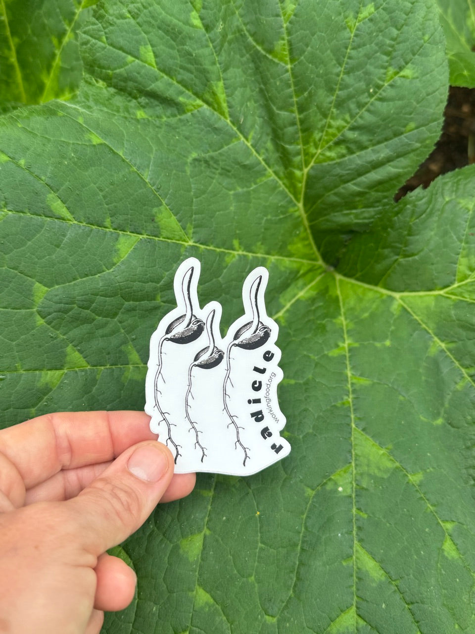 Sticker: Radicle!