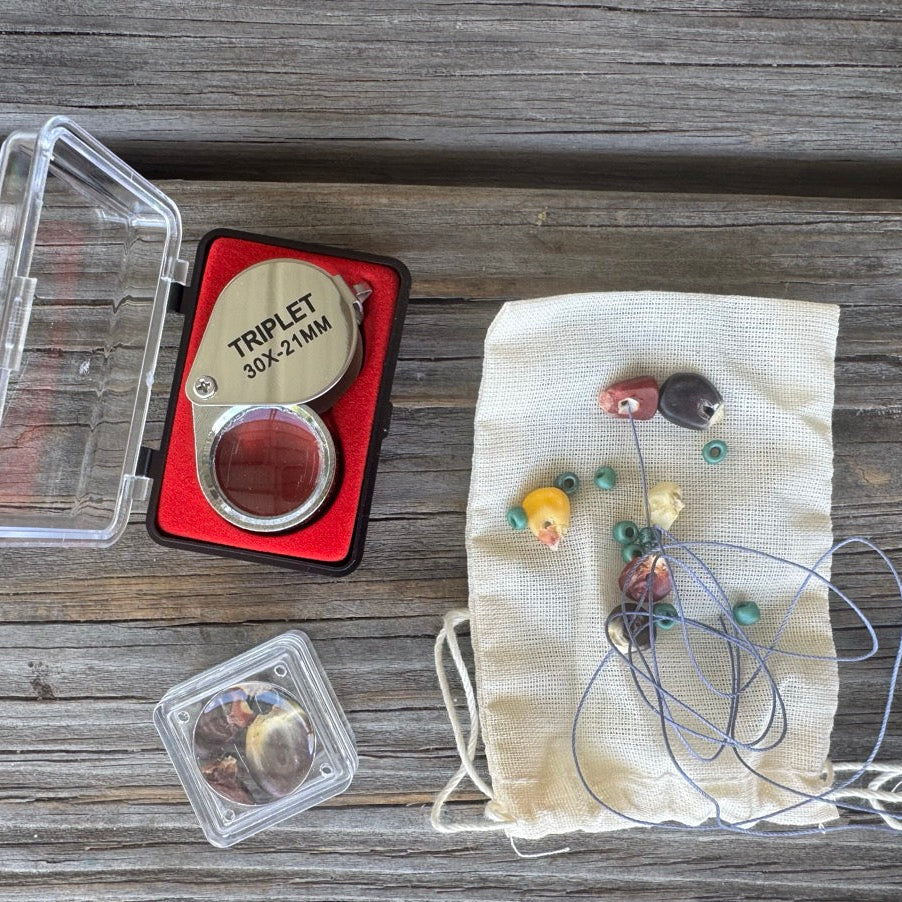 Seed Stories Activity Kit for Kids