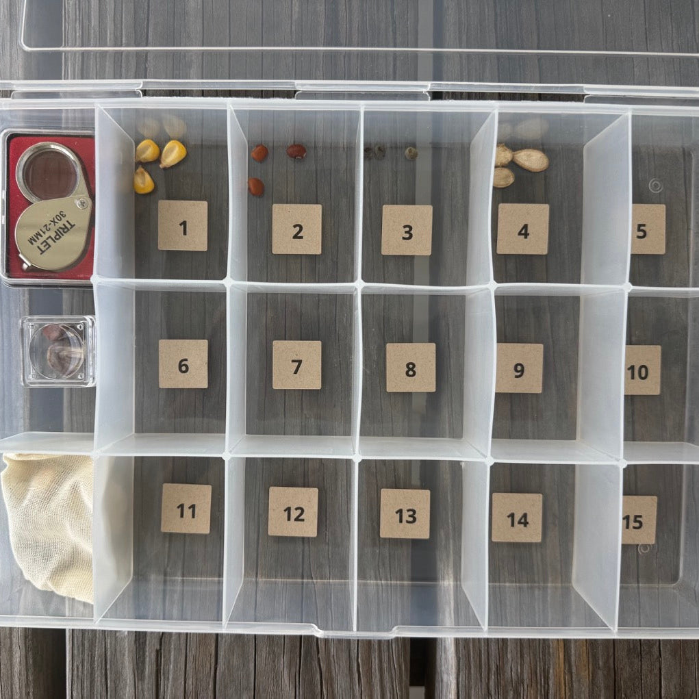 Seed Stories Activity Kit for Kids