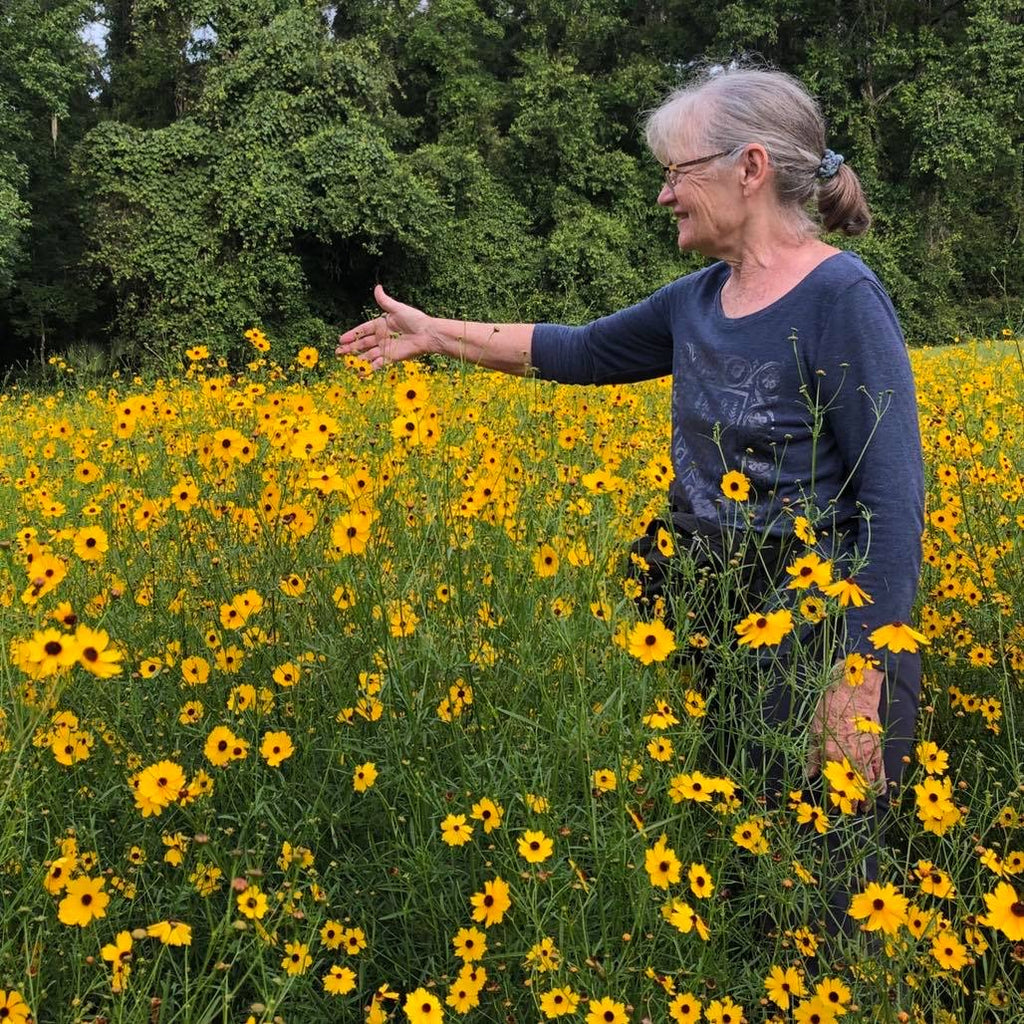 Leavenworth's Coreopsis