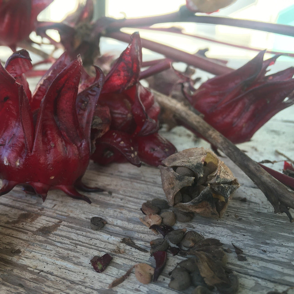 Roselle