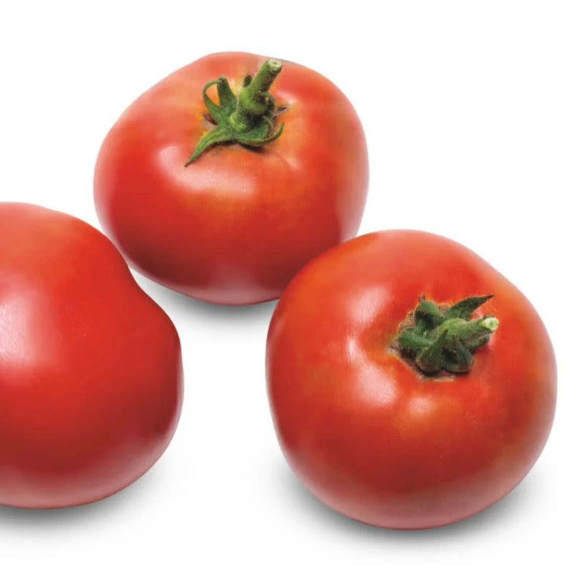 UF Garden Treasure (F1 Hybrid)- Live Plant PRE-ORDER