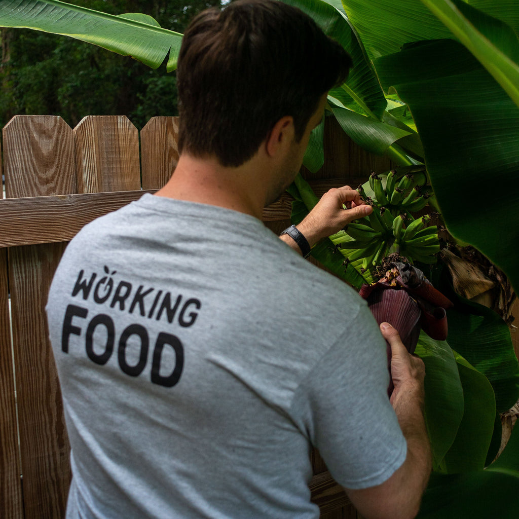 T-shirt: Eat Local! (Mens Cut)