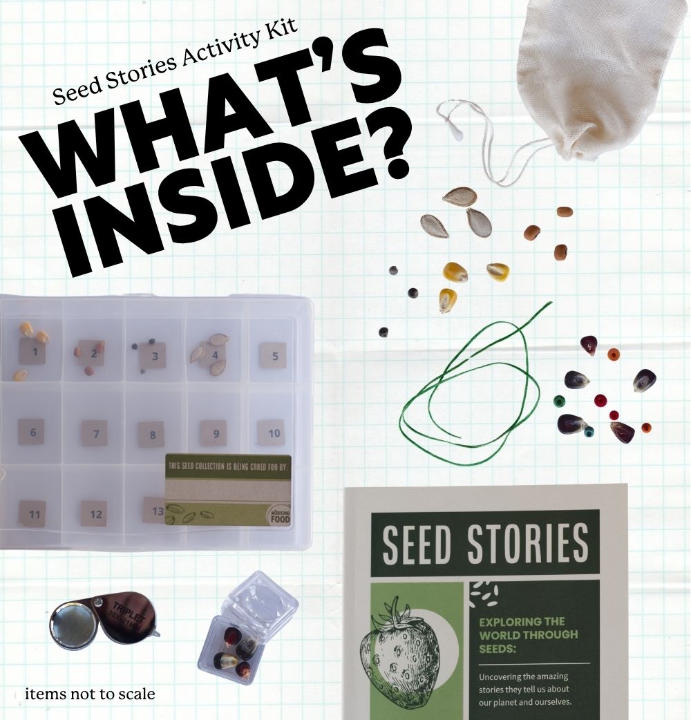 Seed Stories Activity Kit for Kids