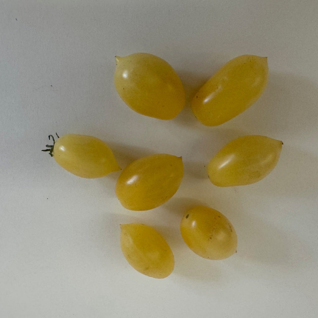Barry's Crazy Cherry- Live Plant PRE-ORDER