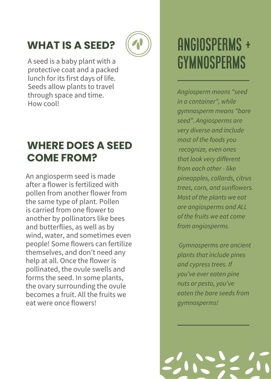 Seed Stories Activity Kit for Kids