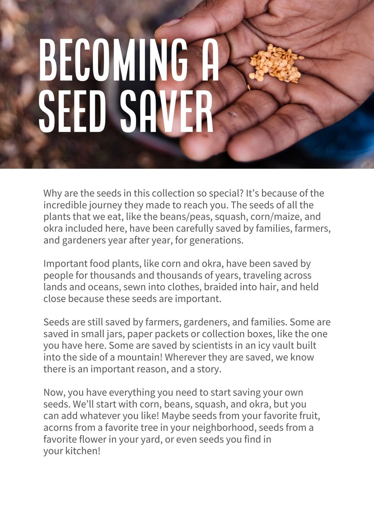 Seed Stories Activity Kit for Kids