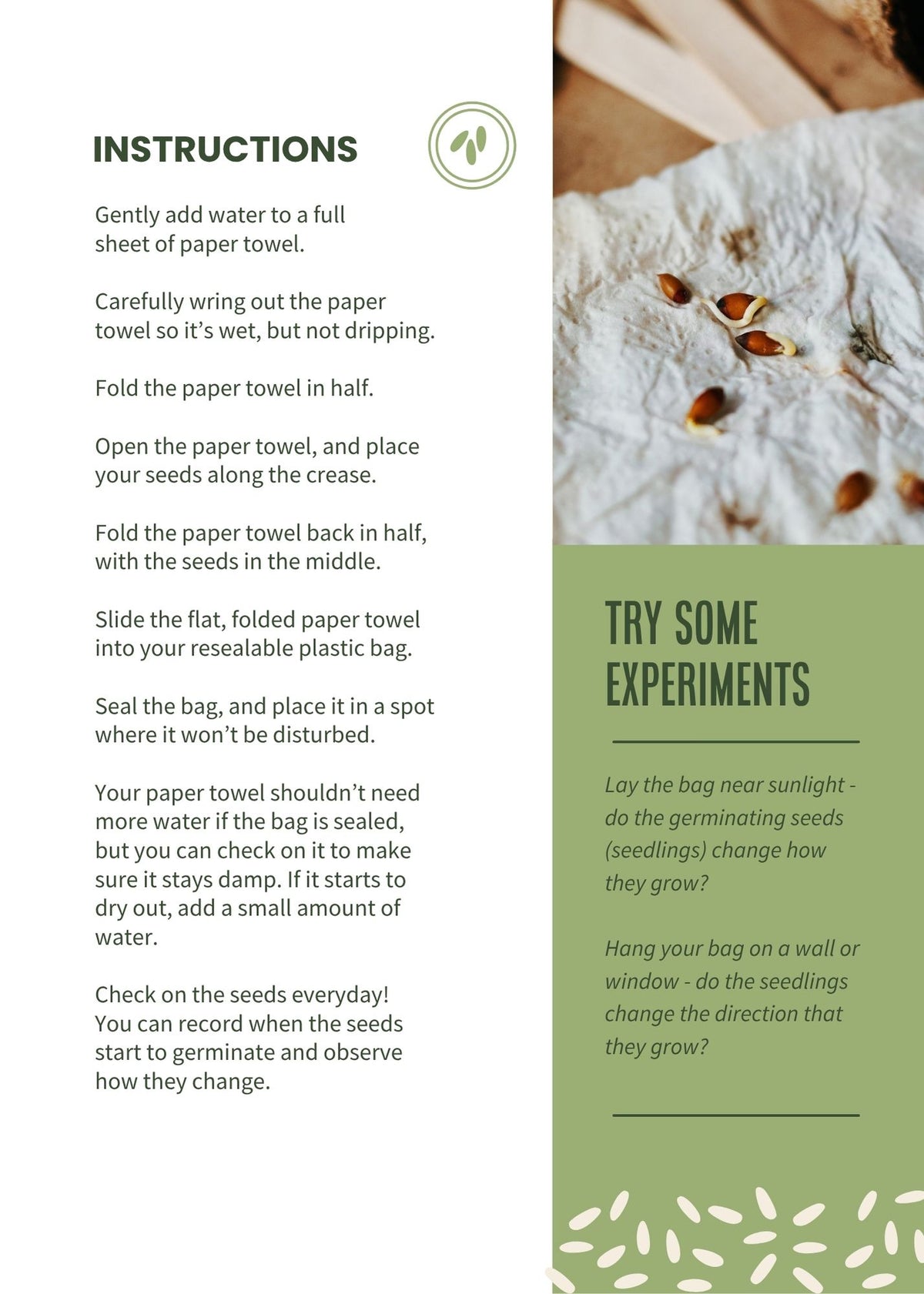 Seed Stories Activity Kit for Kids