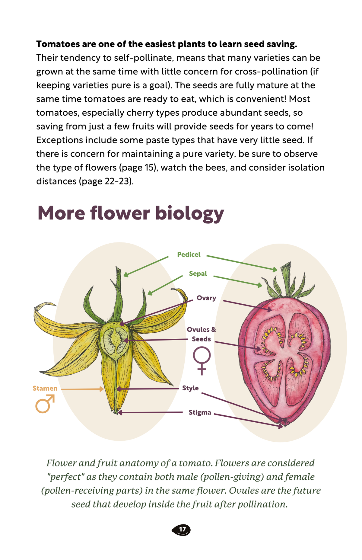 Seed Saving Kit for Home Gardeners