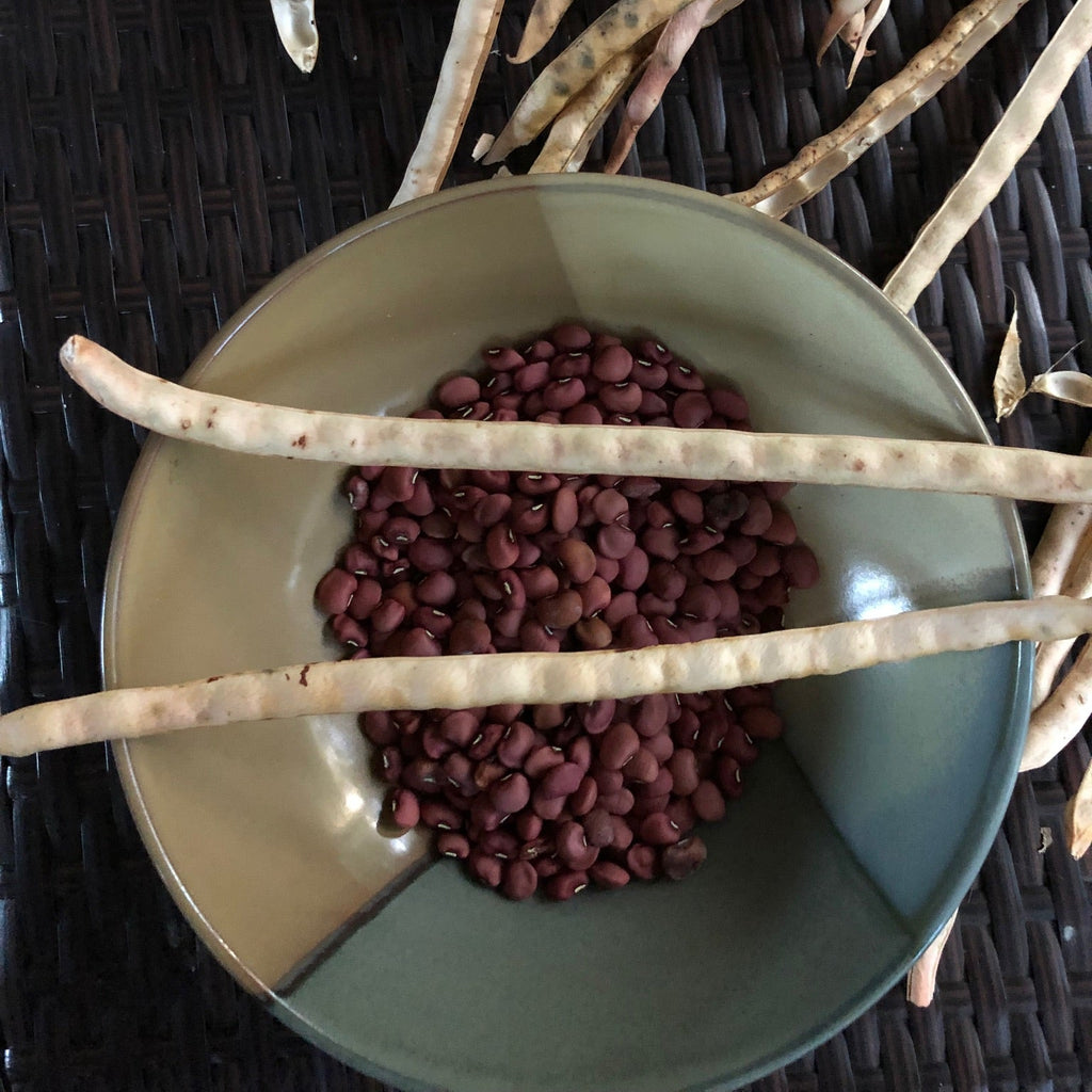 Hardee Cowpea (pole)