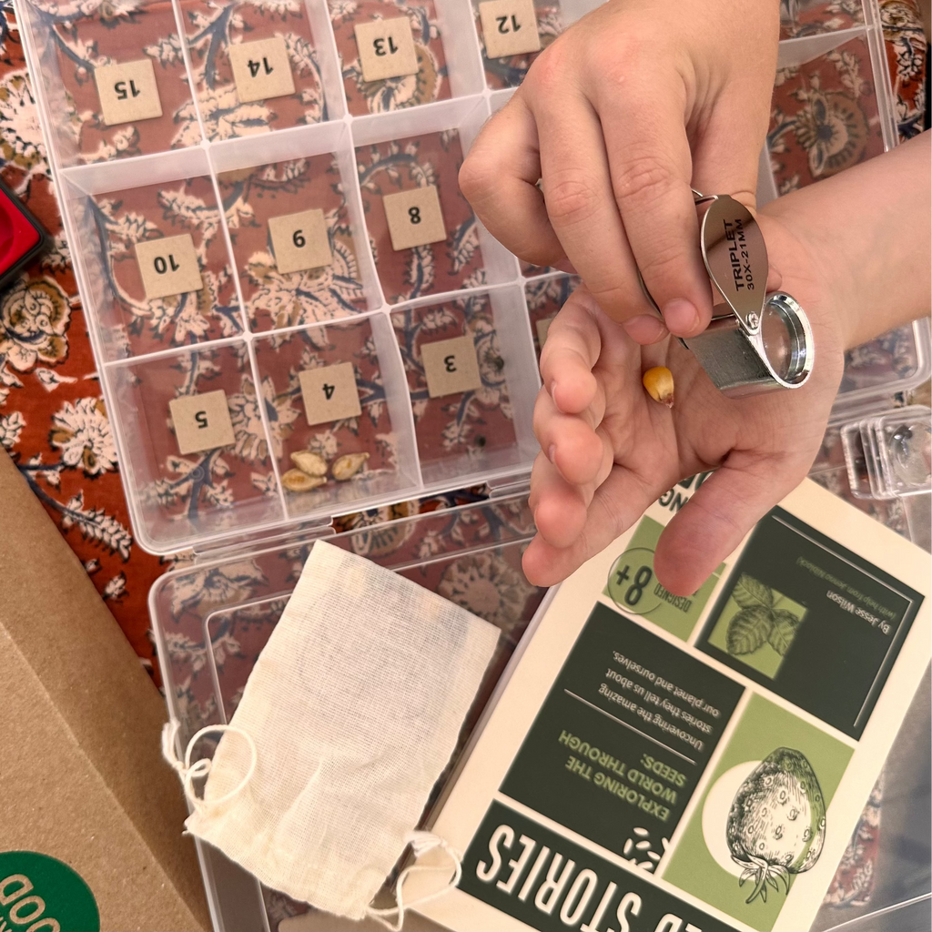 Seed Stories Activity Kit for Kids