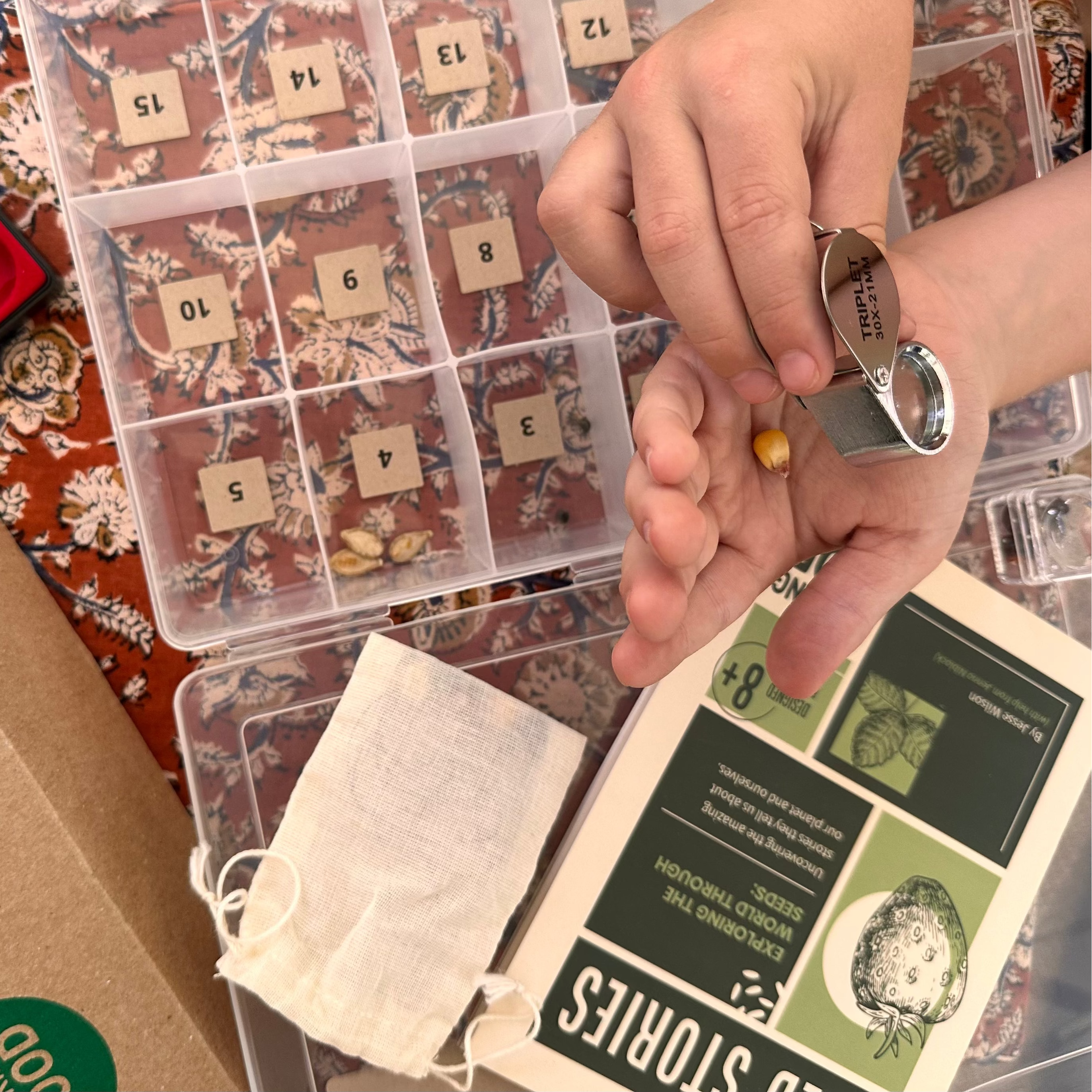 Seed Stories Activity Kit for Kids
