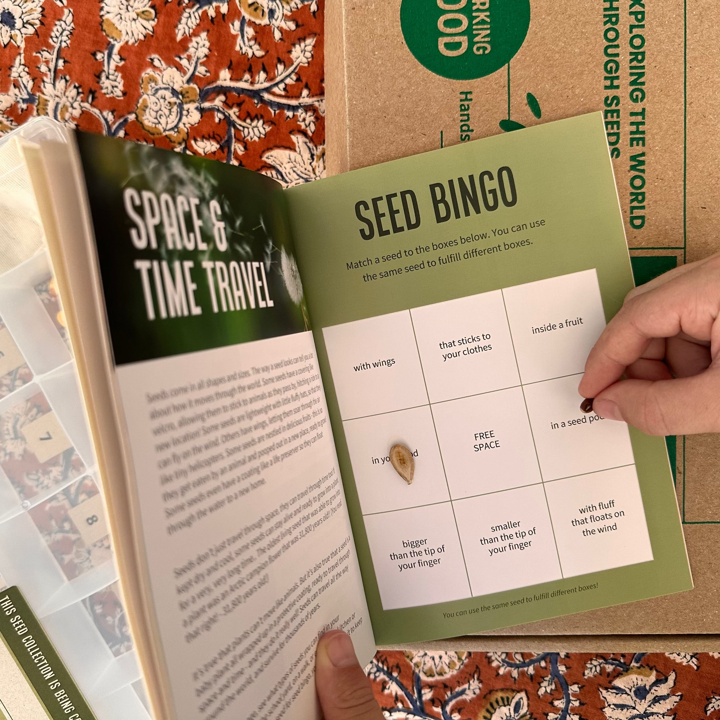 Seed Stories Activity Kit for Kids