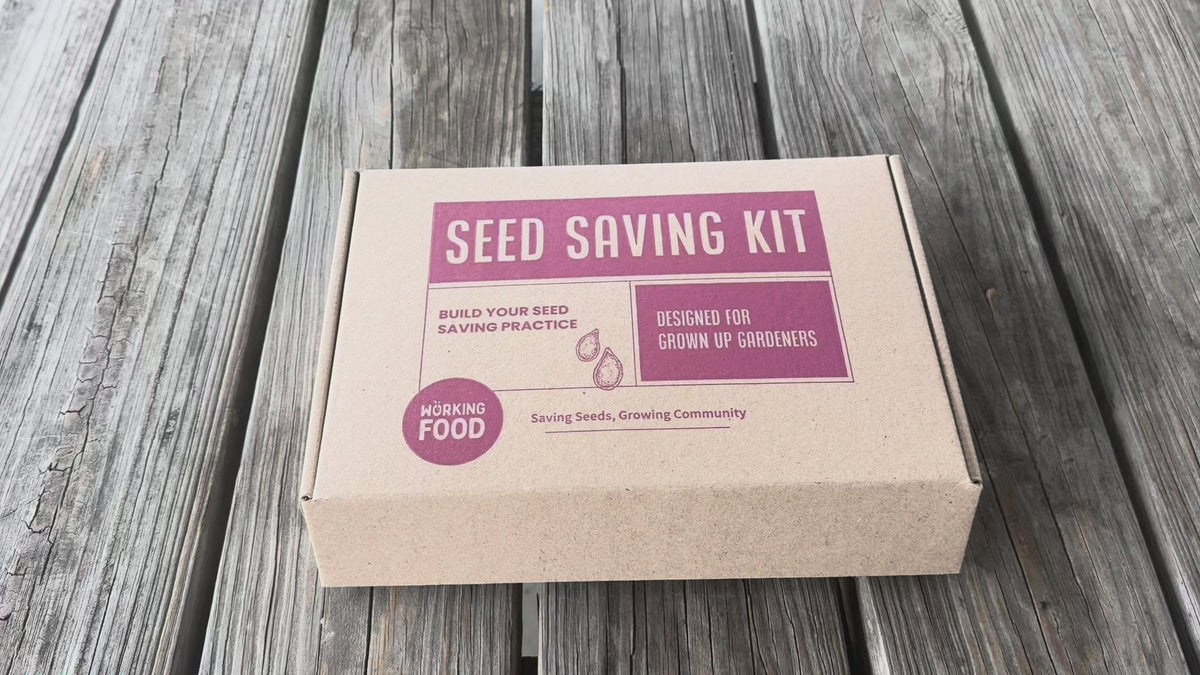 Seed Saving Kit for Home Gardeners