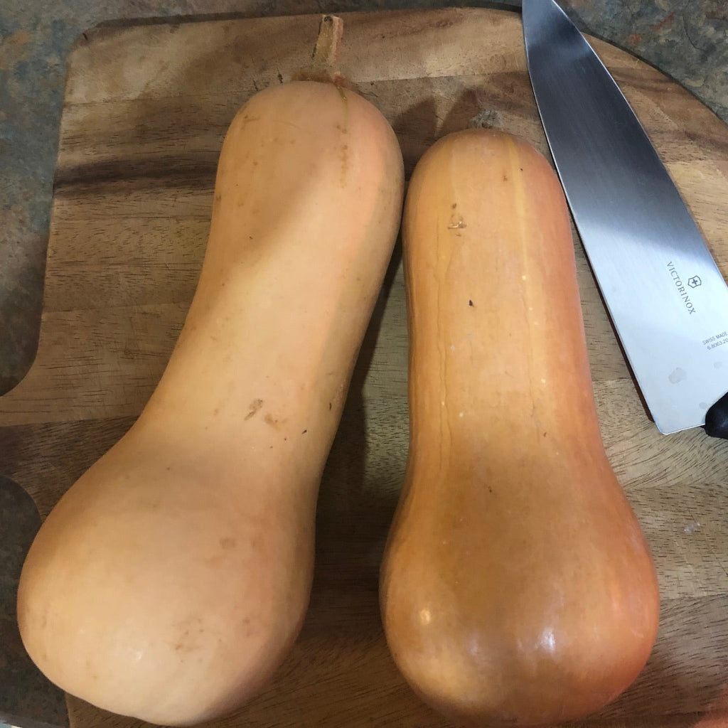 South Anna Butternut Winter Squash