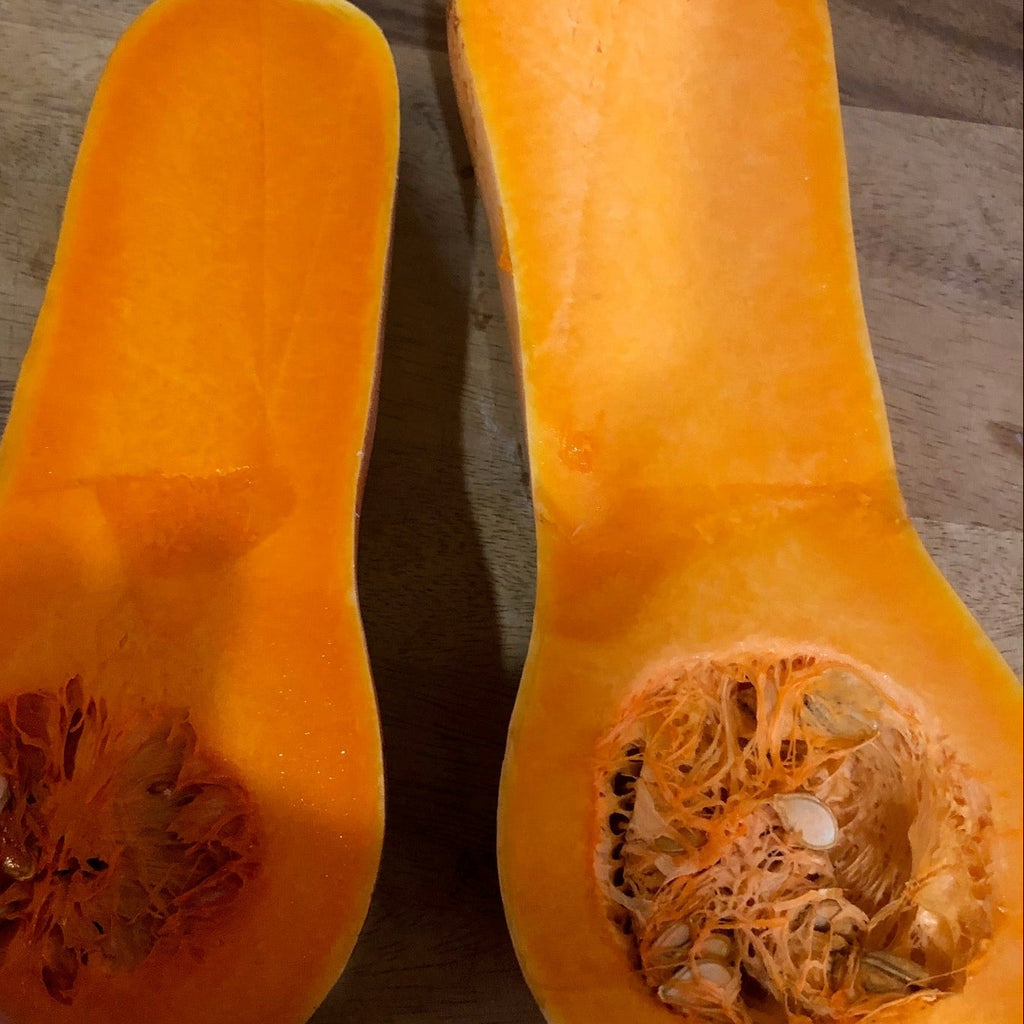 South Anna Butternut Winter Squash